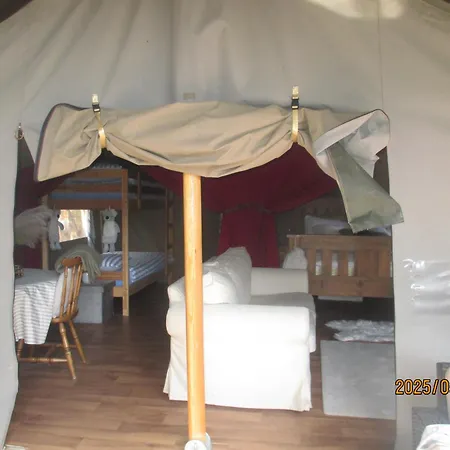 Luxury Tree Glamping Safari Tent