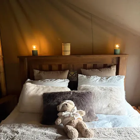 Luxury Tree Glamping Safari Tent
