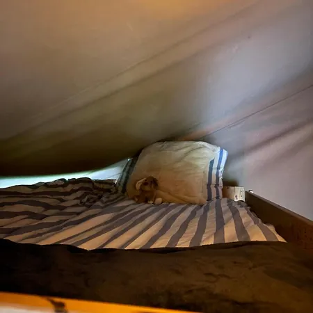 Luxury Tree Glamping Safari Tent Luxusní stan Killarney
