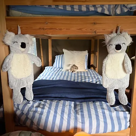 Luxury Tree Glamping Safari Tent * Killarney