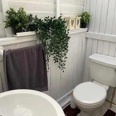 Luxury Tree Glamping Safari Tent Luxuszelt Killarney