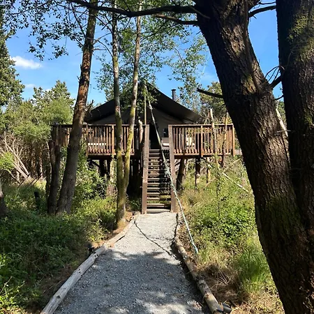 Luxury Tree Glamping Safari Tent Luxuszelt *