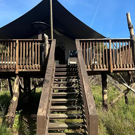 Luxury Tree Glamping Safari Tent Luxuszelt